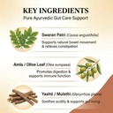 gutlax-natural-gut-cleansing-tablet-gut--71sr5B-gmqL.jpg
