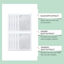 herbal-detox-foot-pads-for-toxin-removal-51kwJrLBWgL.jpg