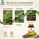 organic-wellness-natural-liv-fit-supplem-81bP6HbsLuL.jpg