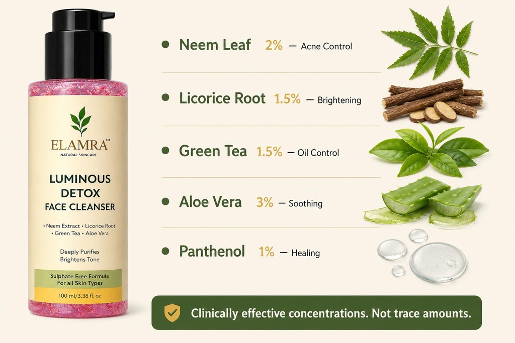 elamra-luminous-detox-face-cleanser-face-61YP-DgmIYL.jpg