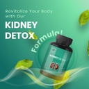cureforever-kidney-detox-cleanser-capsul-61htMSiODSL.jpg