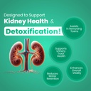 cureforever-kidney-detox-cleanser-capsul-61-tP7slE7L.jpg