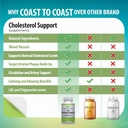 cholesterol-support-supplement---support-5.jpg