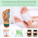 birdline-foot-patches-for-cleansing-remo-71-Bso9QkfL.jpg