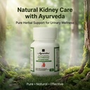 pathriyog-stoneyog-capsules-for-kidney-u-61tArOr6LFL.jpg