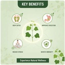 herbal-giloy-detox-body-patch-stress-rel-51LOARgOzfL.jpg