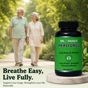 heallungs-60-tablets-ayurvedic-lung-deto-71ClchMeuEL.jpg
