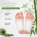 detox-foot-pads-and-patches-foot-pads-fo-71roze7toHL.jpg