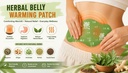 herbal-balance-patch-plant-based-ingredi-71s7pSlrN7L.jpg