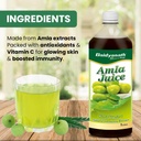 baidyanath-amla-aloe-vera-juice-combo-1l-71Ysb5wXvUL.jpg
