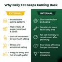 fit-kg-handmade-product-belly-fat-detox--71ccspcDNxL.jpg