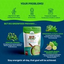 b12greenfood-powder-plant-based-vitamin--711mWOVjlzL.jpg