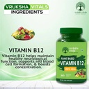 vruksha-vitals-vitamin-b12-100-rda-lab-t-71IMnBoKCUL.jpg