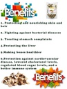 diets-organics-murungai-seeds-100-g-natu-81kg2Y6+7sL.jpg