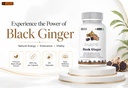 leewell-black-ginger-supplement-60-capsu-617e45fq2rL.jpg