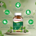 baidyanath-ayurved-tulsi-tablets-120-tab-71hyTh-N64L.jpg