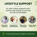 pure-nutrition-st-john-s-wort-extract-50-71YK4UBPs6L.jpg