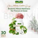 jeena-sikho-brahmi-tablet-naturally-supp-81jrBJo-tcL.jpg