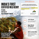 biosash-himalayan-sea-buckthorn-juice-25-818xLn3CJML.jpg