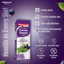 baidyanath-premium-karela-jamun-juice-1l-61iI223AlcL.jpg