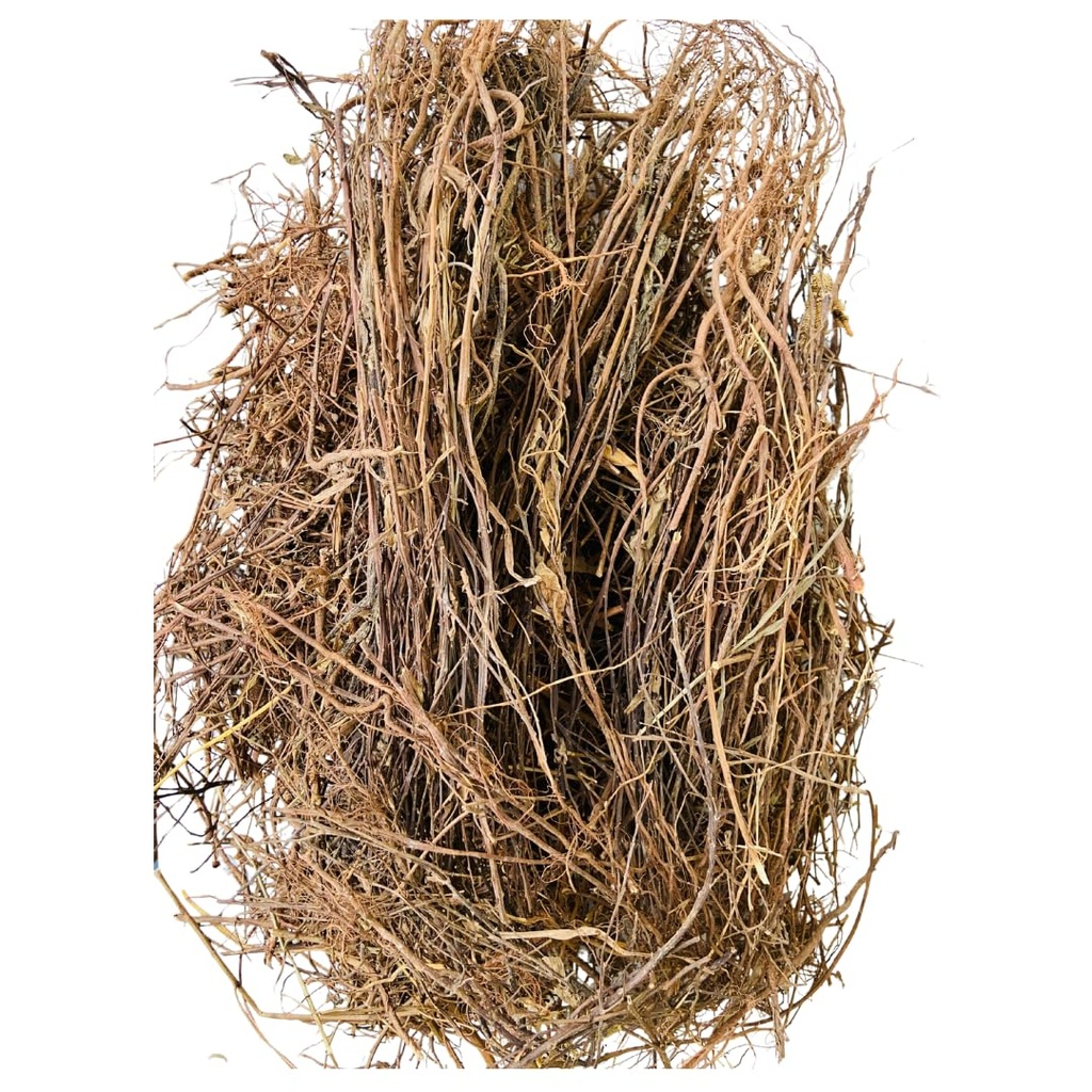 bhumi-amla-raw-125-g-bhui-amla-phyllanth-71sA0U62PiL.jpg