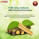 baidyanath-giloy-satva-50g-ayurvedic-her-61dzIvhZn6L.jpg