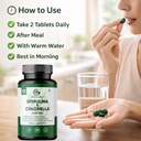 spirulina-chlorella-tablets-pack-of-2-gr-819hvKTRHbL.jpg