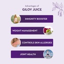 baidyanath-asli-ayurved-giloy-juice-natu-71JLF6epKBL.jpg