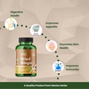 dried-ginger-tablets-capsules-500mg-180--61vsklGHdcL.jpg
