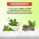 baidyanath-ayurved-giloy-tulsi-herbal-ju-61aF6GS3YhL.jpg