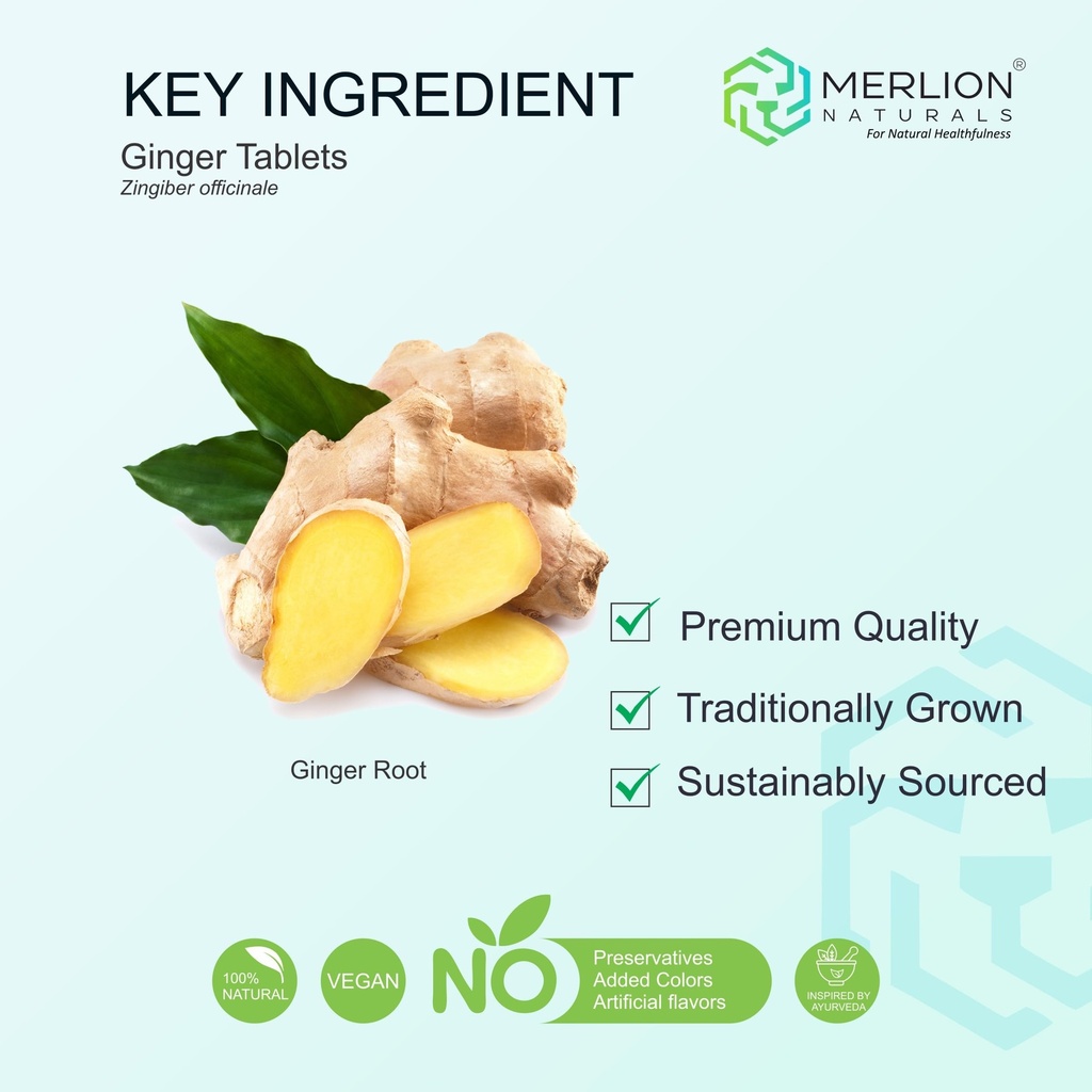merlion-naturals-ginger-tablets-zingiber-71iakf68xdL.jpg
