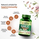 vlado-s-himalayan-organics-garlic-500mg--619aDxvTuqL.jpg