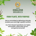 vlado-s-himalayan-organics-garlic-500mg--71TJI5IEB9L.jpg