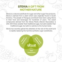 vistevia-sugarfree-stevia-powder-diabeti-616BLFhM-ML.jpg