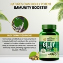 vlado-s-himalayan-organics-giloy-extract-714cIMOIwUL.jpg