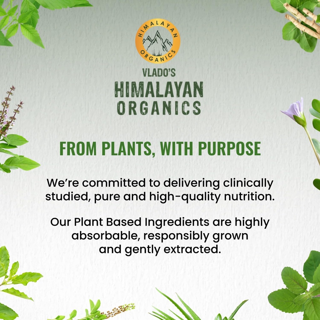 vlado-s-himalayan-organics-giloy-extract-71TJI5IEB9L.jpg