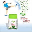meghdoot-samshamani-vati-giloy-ki-ghanva-61Q8am1SO-L.jpg