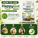 supplenex-happygut-herbal-digestive-chew-71Es8i2BOLL.jpg