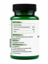 moringa-capsules-500-mg-std-extract-to-5-61rLOBHcUIL.jpg