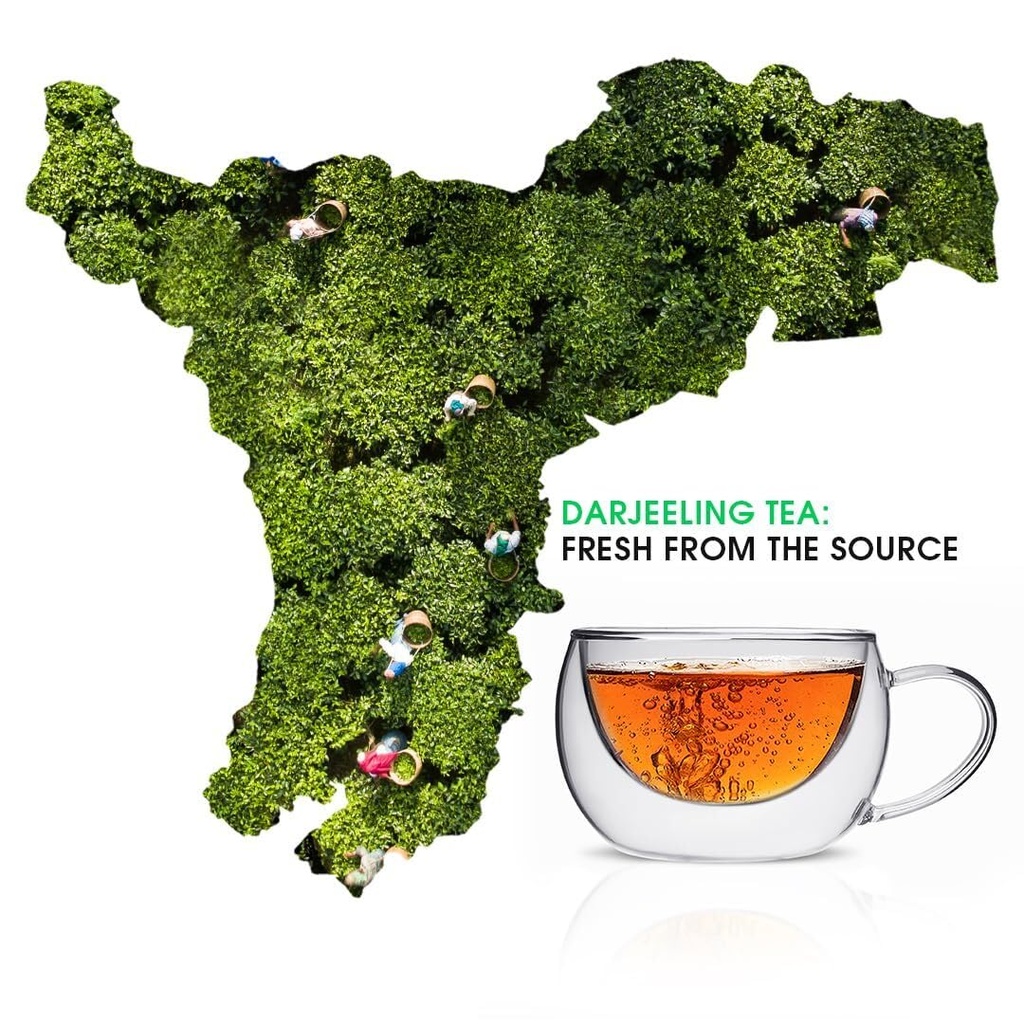 teabox-green-tea-loose-leaves-made-with--718HF5Mx0cL.jpg