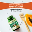 vlado-s-himalayan-organics-plant-based-v-618tMEHT0bL.jpg