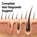 nutrastore-hair-nutrients-biotin-tablets-81GgGU0BDmL.jpg