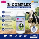 b-complex-vitamin-b-vitamin-b-tonic-for--71ci-opPqhL.jpg