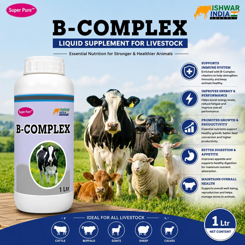 b-complex-vitamin-b-vitamin-b-tonic-for--71jWcK8+4YL.jpg