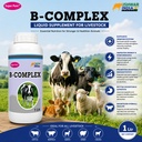 b-complex-vitamin-b-vitamin-b-tonic-for--71jWcK8+4YL.jpg