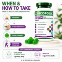 zincofolic-biotin-gummies-hair-skin-nail-71wHAUmBdXL.jpg