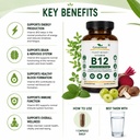 vitamin-b12-green-superfood-capsule-natu-71yiUtYnQFL.jpg