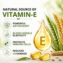 neat-everyday-wheat-germ-oil-capsules-bl-81TeVnOvTyL.jpg