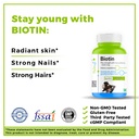 haleup-biotin-caps-royal-dsm-switzerland-71nnQJbGJfL.jpg