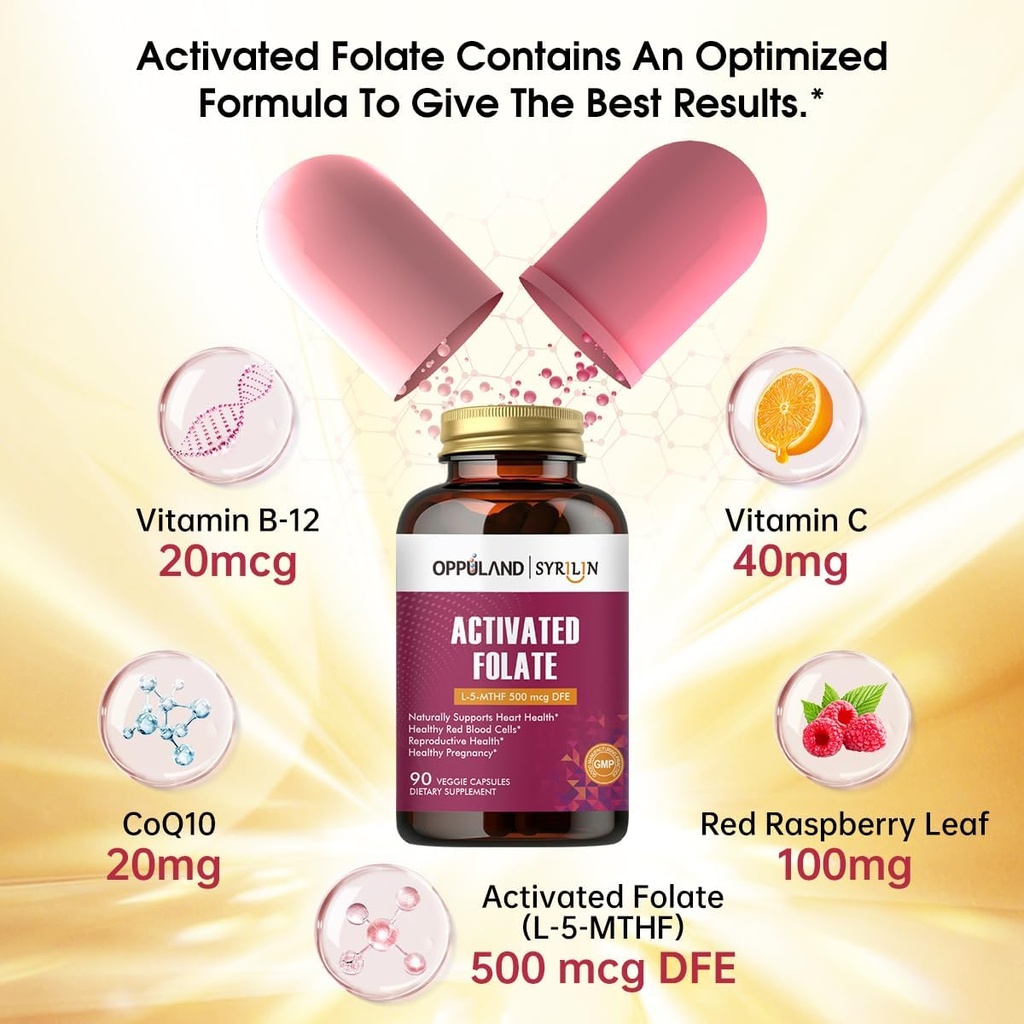 activated-folate-l-5-mthf-dfe-supplement-2.jpg